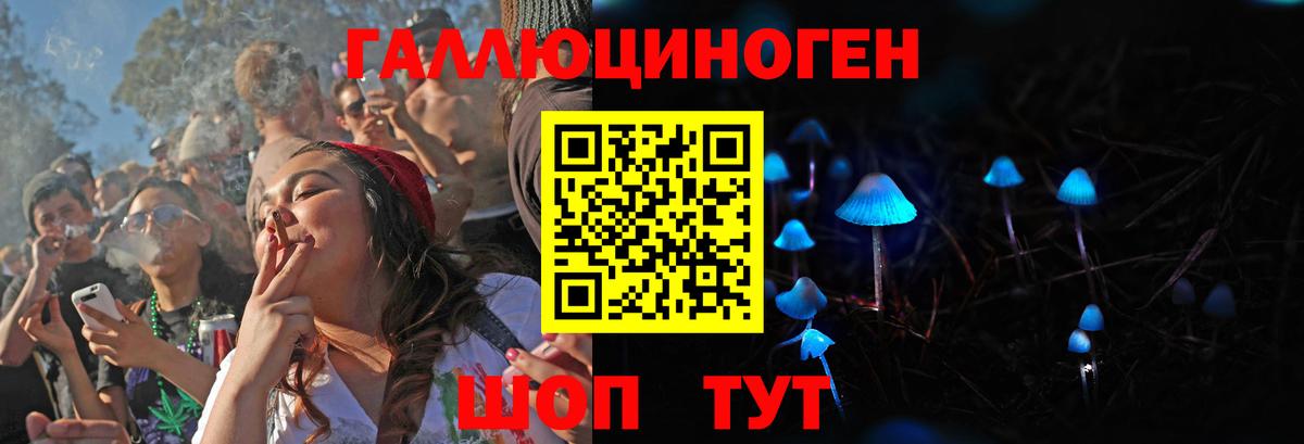 Псилоцибиновые грибы мицелий Котельники